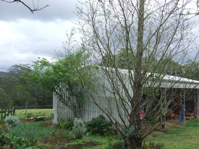 Rollands Plains NSW 2441