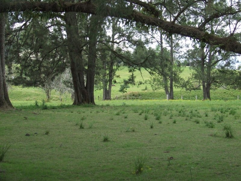 Rollands Plains NSW 2441