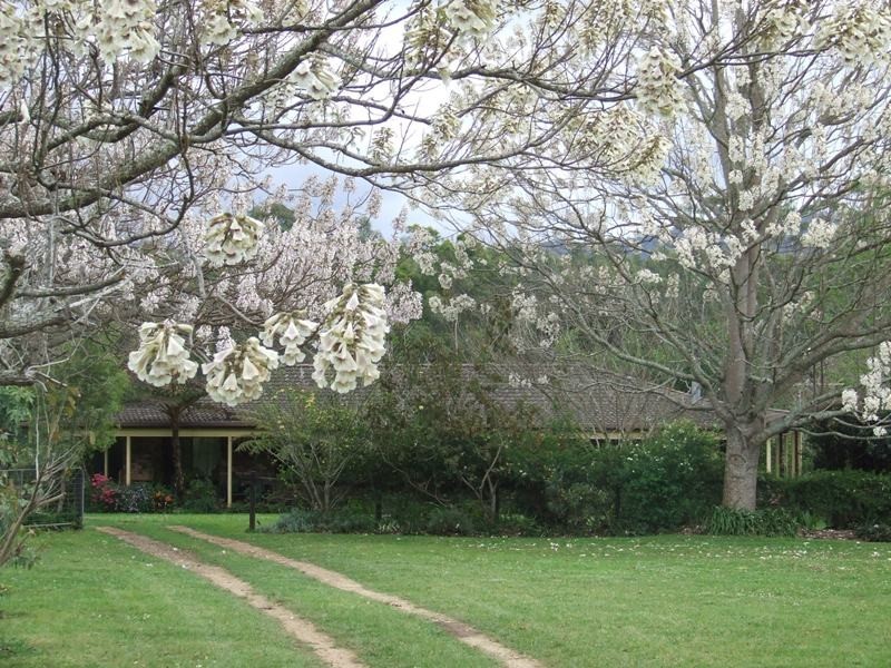 Rollands Plains NSW 2441