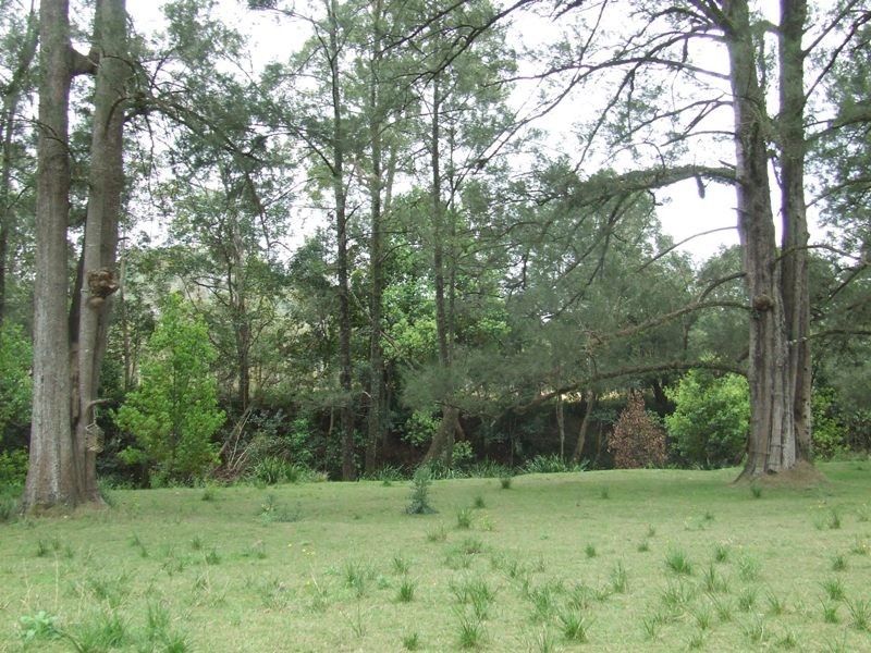 Rollands Plains NSW 2441