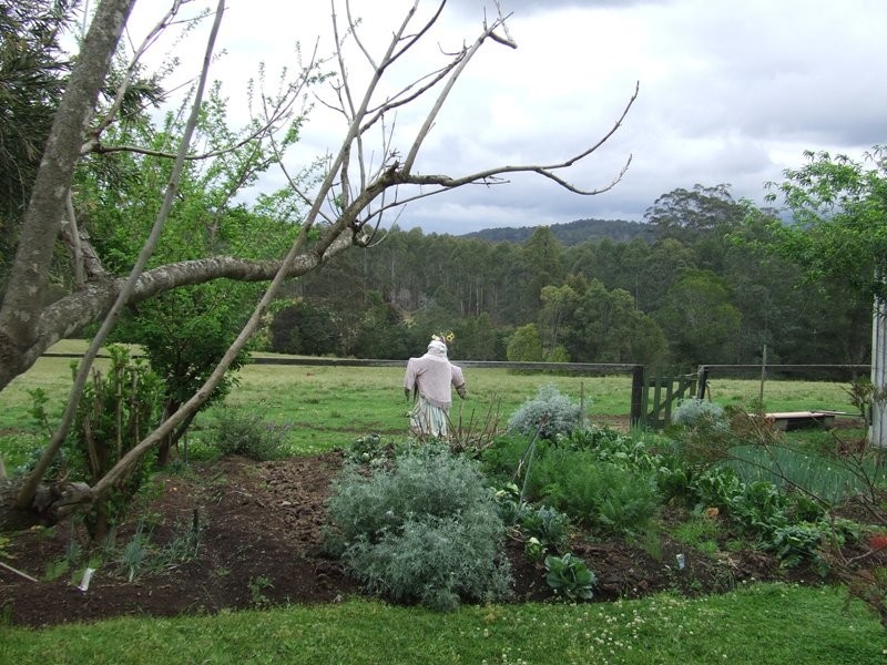 Rollands Plains NSW 2441