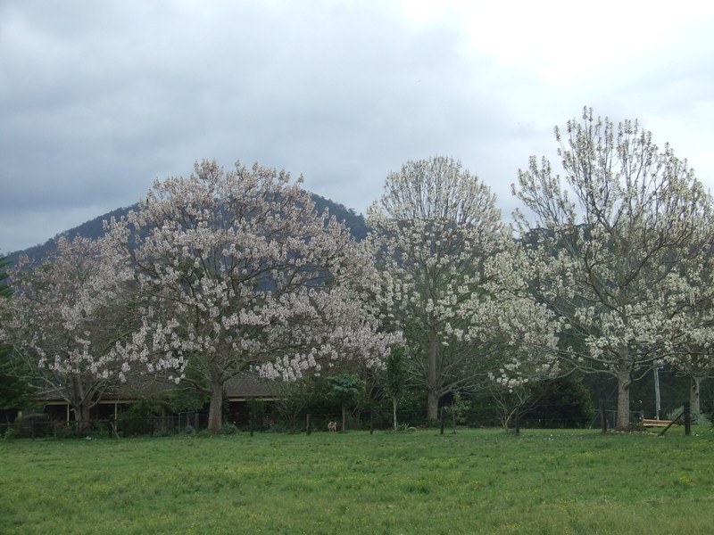 Rollands Plains NSW 2441