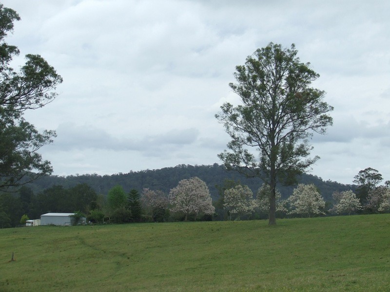 Rollands Plains NSW 2441