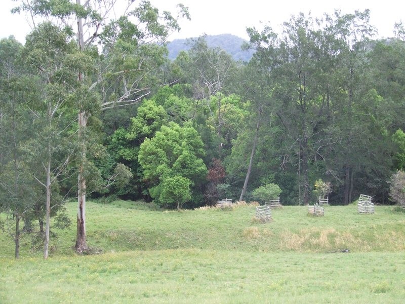 Rollands Plains NSW 2441