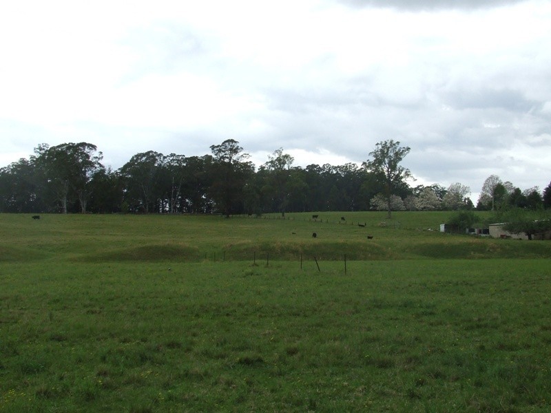 Rollands Plains NSW 2441