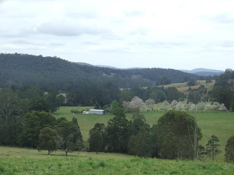 Rollands Plains NSW 2441