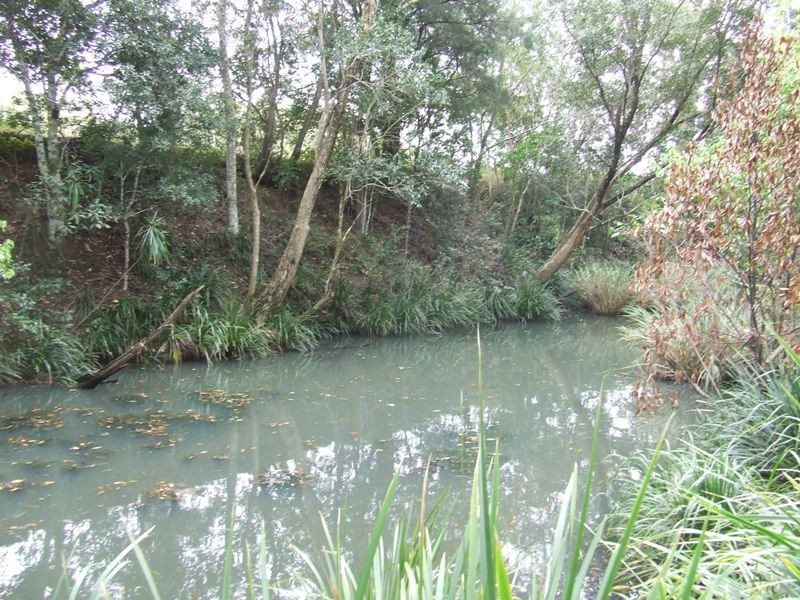 Rollands Plains NSW 2441