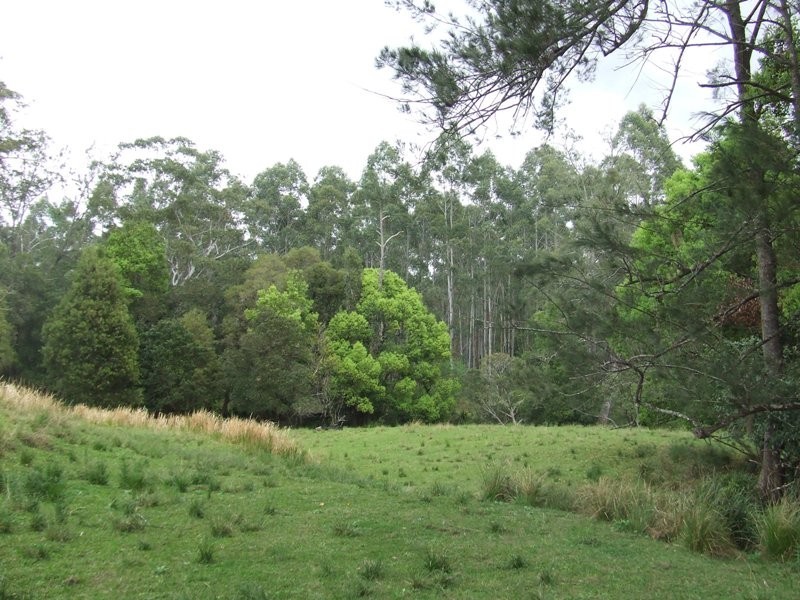 Rollands Plains NSW 2441