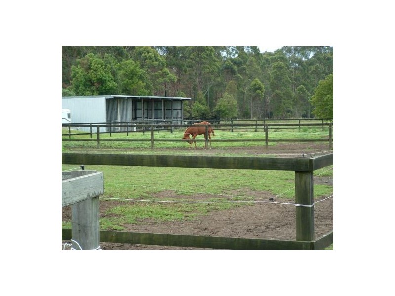 Wauchope NSW 2446