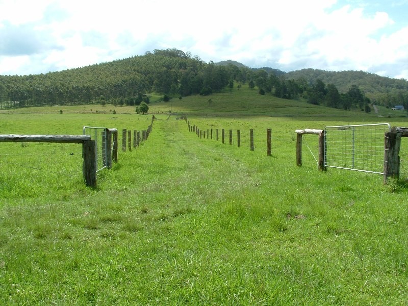Rollands Plains NSW 2441