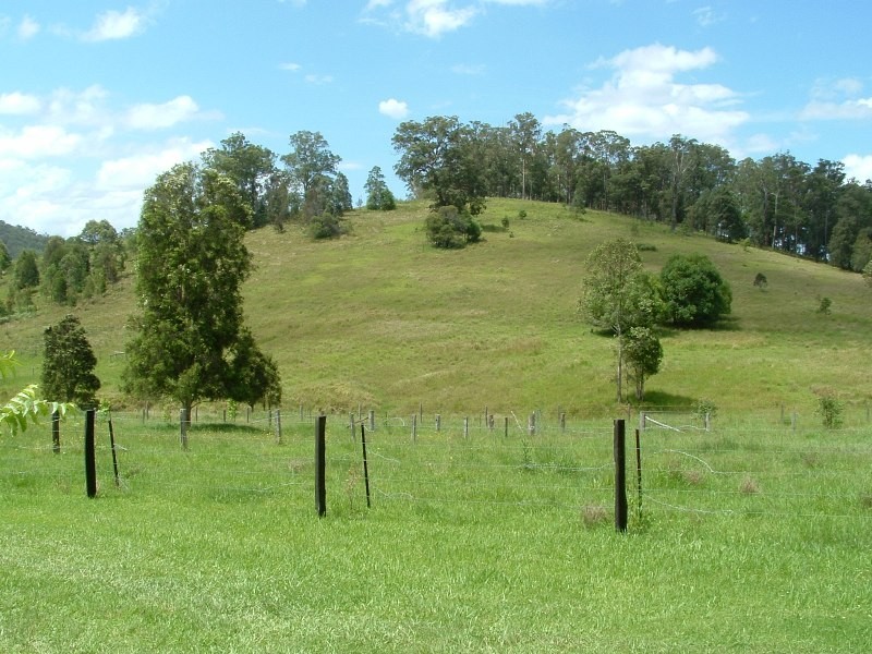 Rollands Plains NSW 2441