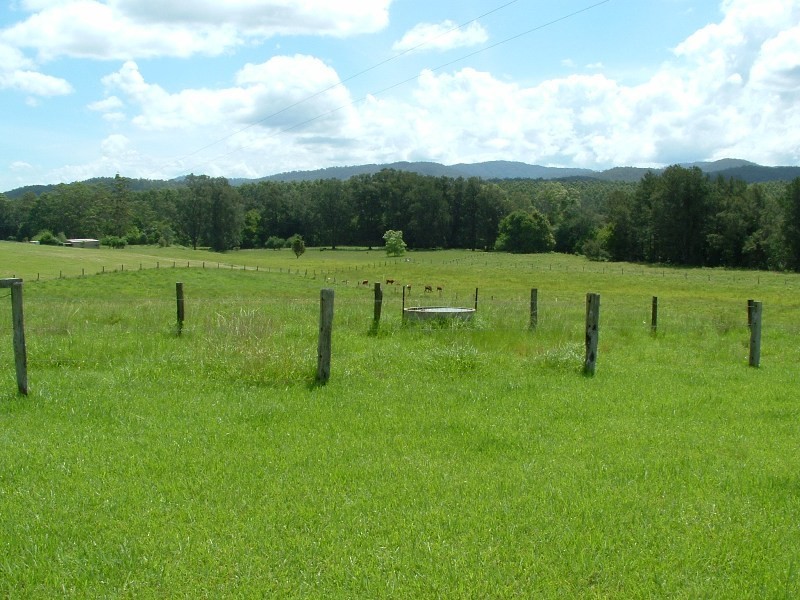 Rollands Plains NSW 2441