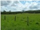 Rollands Plains NSW 2441
