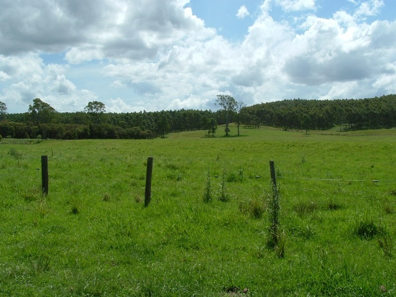 Rollands Plains NSW 2441