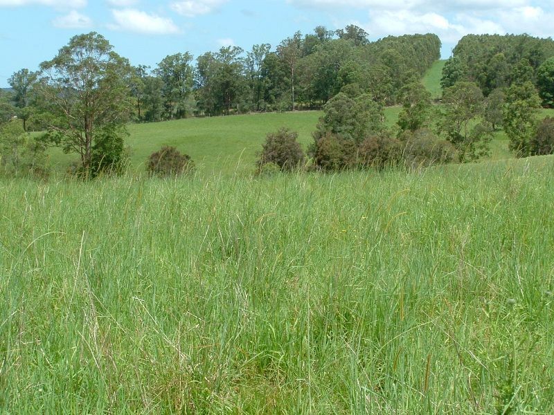 Rollands Plains NSW 2441