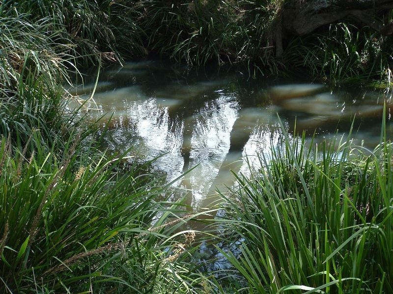 Rollands Plains NSW 2441