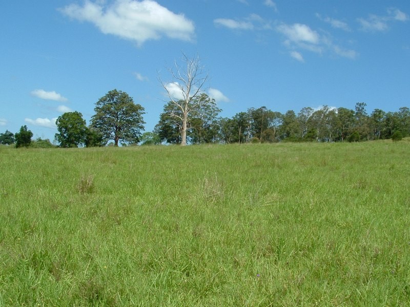 Rollands Plains NSW 2441