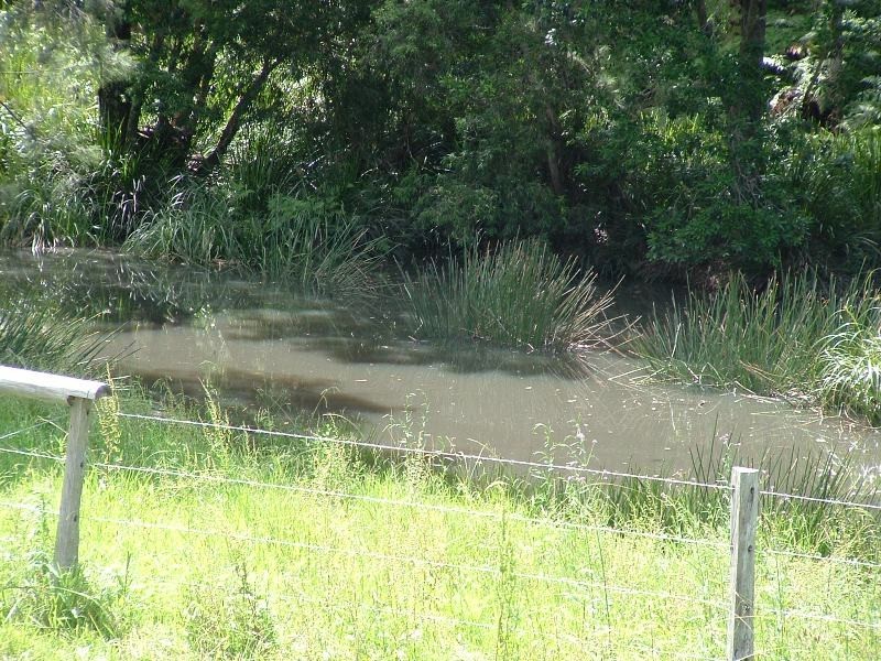 Rollands Plains NSW 2441