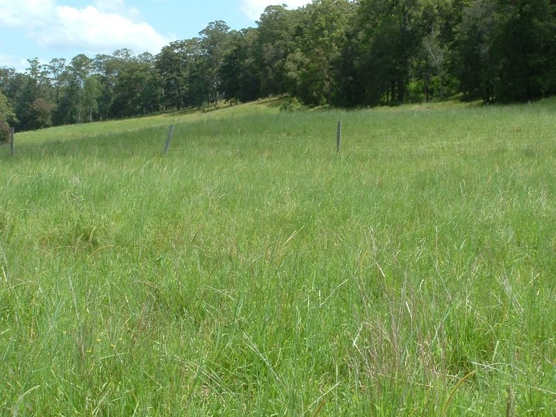 Rollands Plains NSW 2441