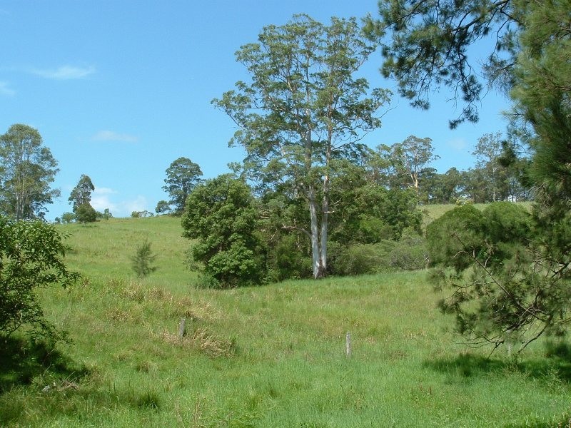 Rollands Plains NSW 2441