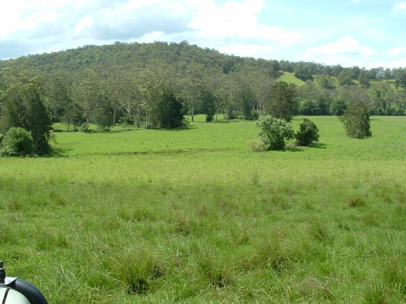 Rollands Plains NSW 2441