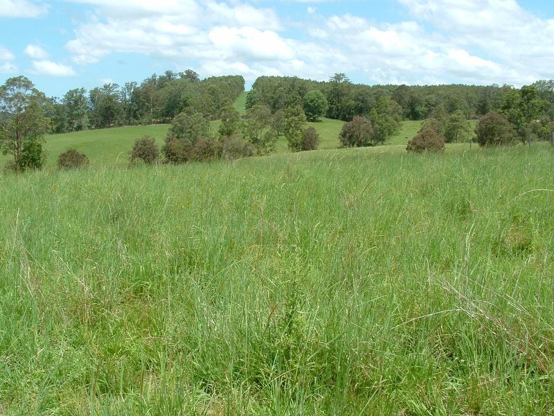 Rollands Plains NSW 2441