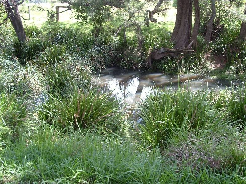 Rollands Plains NSW 2441