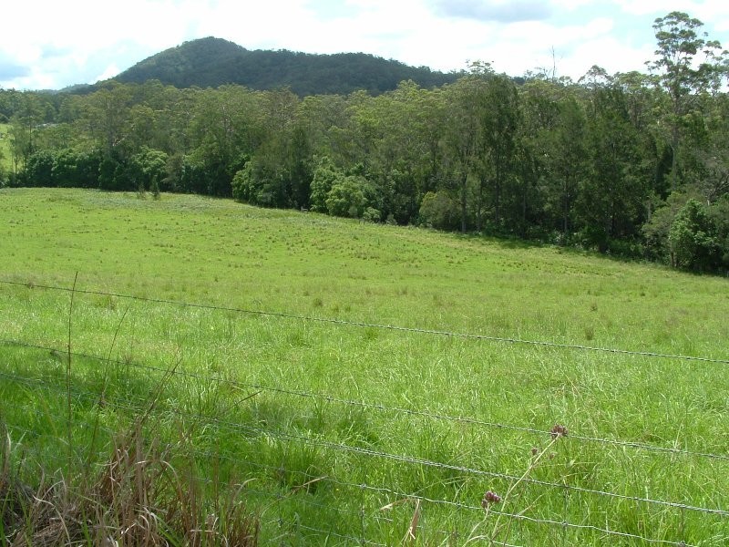 Rollands Plains NSW 2441