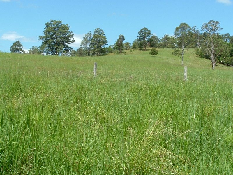 Rollands Plains NSW 2441