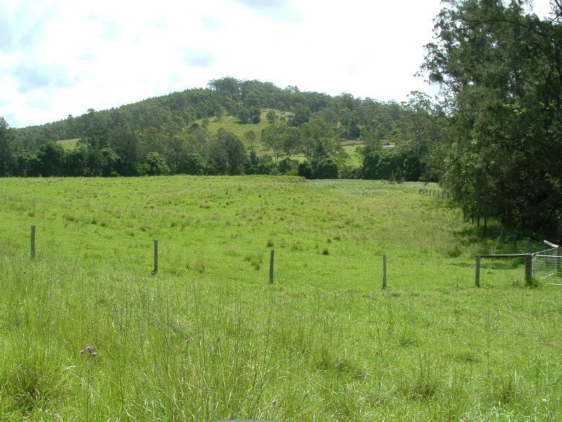 Rollands Plains NSW 2441