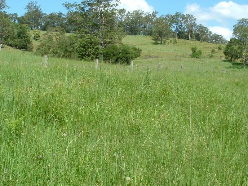 Rollands Plains NSW 2441