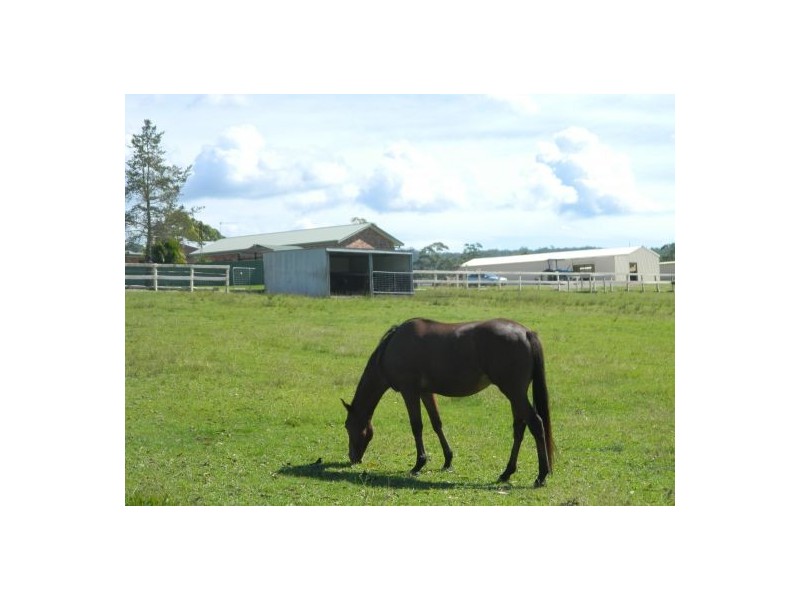 Telegraph Point NSW 2441