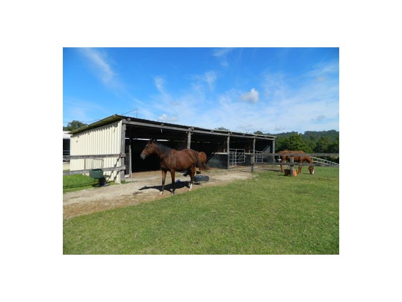 Telegraph Point NSW 2441