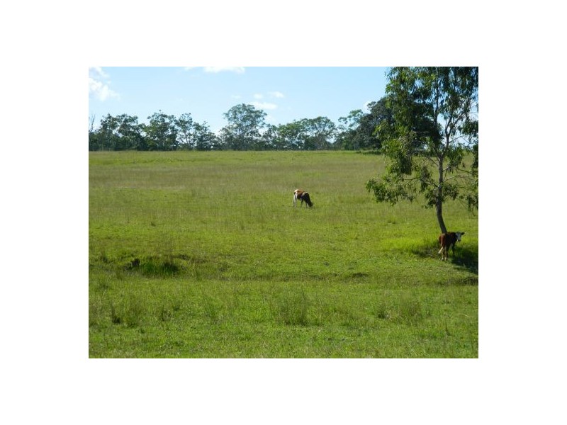 Telegraph Point NSW 2441