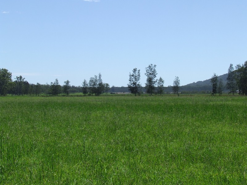Rossglen NSW 2439