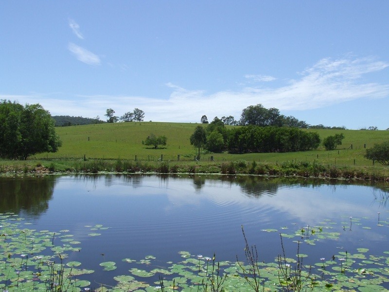 Rollands Plains NSW 2441