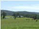 Rollands Plains NSW 2441