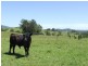 Rollands Plains NSW 2441