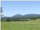 Rollands Plains NSW 2441