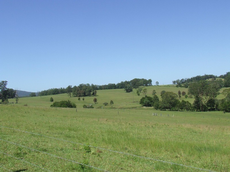 Rollands Plains NSW 2441