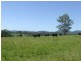 Rollands Plains NSW 2441