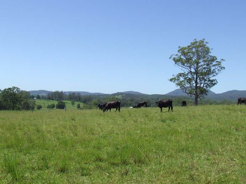 Rollands Plains NSW 2441