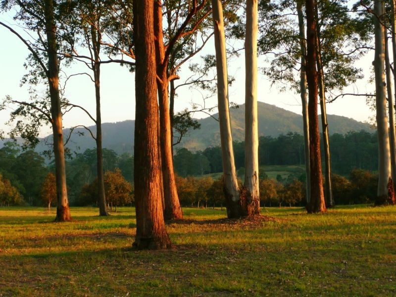 Ellenborough NSW 2446