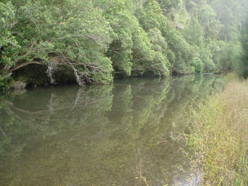 Ellenborough NSW 2446