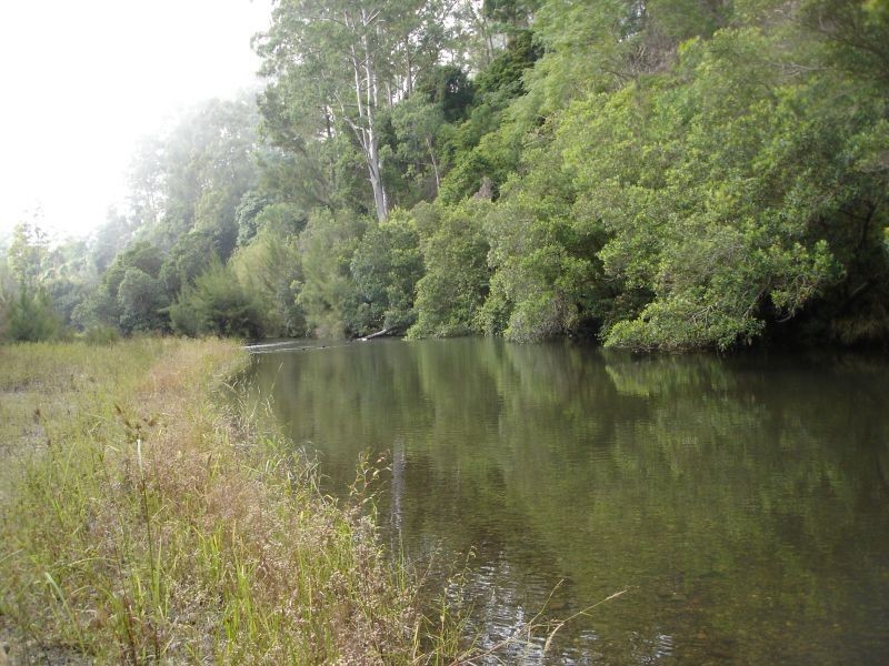 Ellenborough NSW 2446