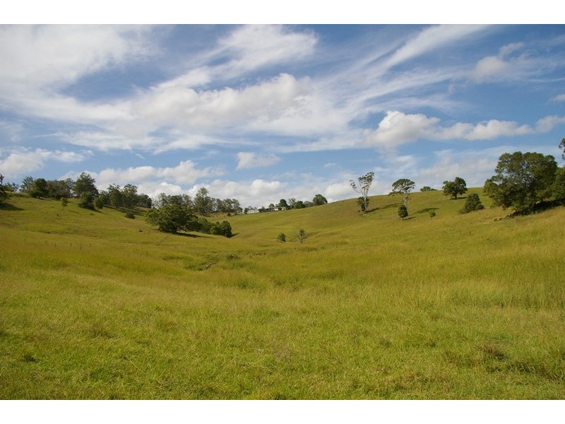 Kendall NSW 2439