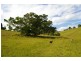 Kendall NSW 2439