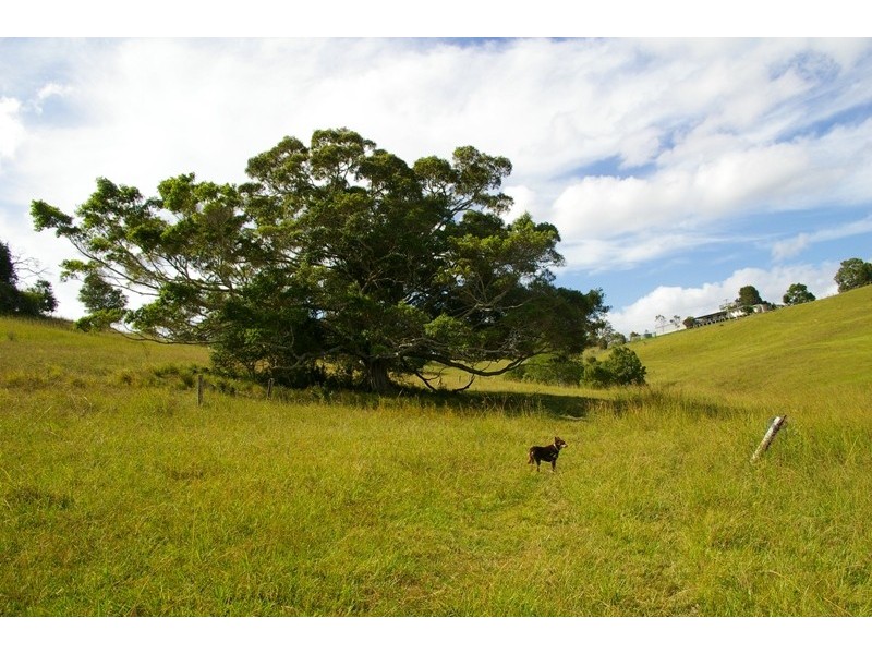 Kendall NSW 2439