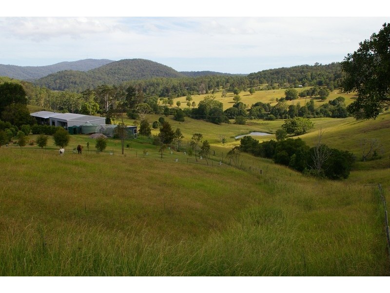 Kendall NSW 2439