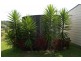 Kendall NSW 2439